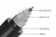 法规体系的“四梁八柱”：3C认证的依据